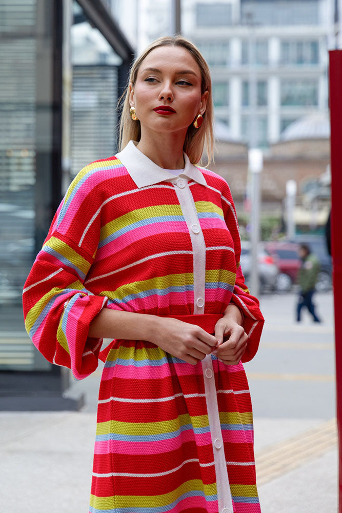 Katty Cardigan Dress (Multicolor stripes)