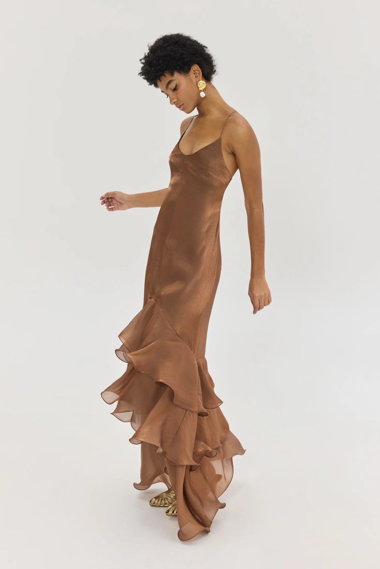 Olsi Dress (Brown)